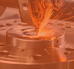 Quality Service Inspection Italia SrL